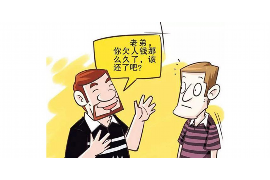 洛扎专业讨债公司有哪些核心服务？